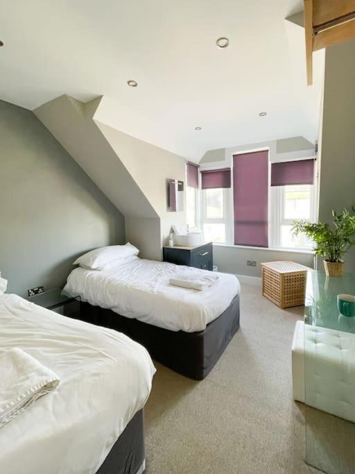 Edge14- Spacious, Stylish And Near The Beach! New Quay Kültér fotó